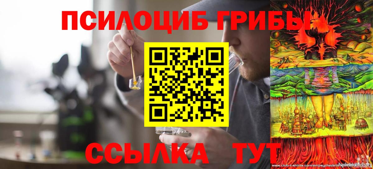 Псилоцибиновые грибы мицелий  Вход с VPN  Советск 